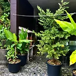 Apartament Casa De Casarelhos - Ac - Bbq - 