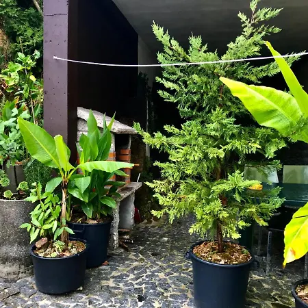 Appartement Casa de Casarelhos - Gerês - AC - Barbecue *