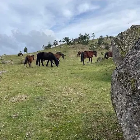 Casa De Casarelhos - Al - Daire *